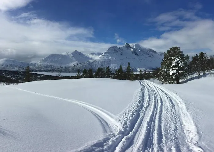 7 Person In Grovfjord * Grov